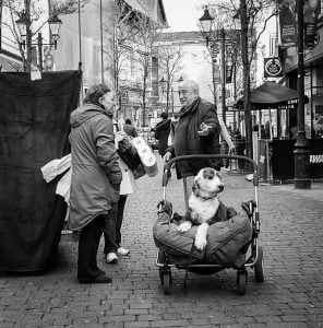 Street photography of a woman with a dog in a stroller, captured in black and white.