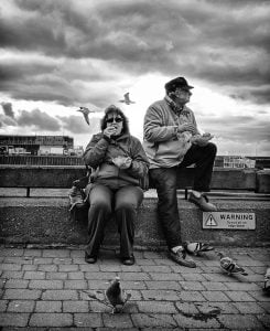 A couple enjoying a moment of tranquility on a coastal bench, surrounded by pigeons.