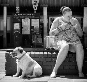 A woman enjoying the coastal view from a bench with her dog.